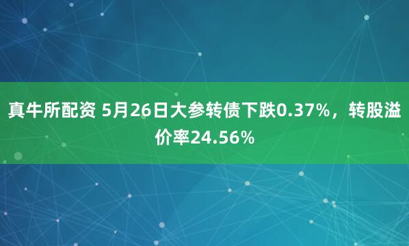 真牛所配资 5月26日大参转债下跌0.37%，转股溢价率24.56%