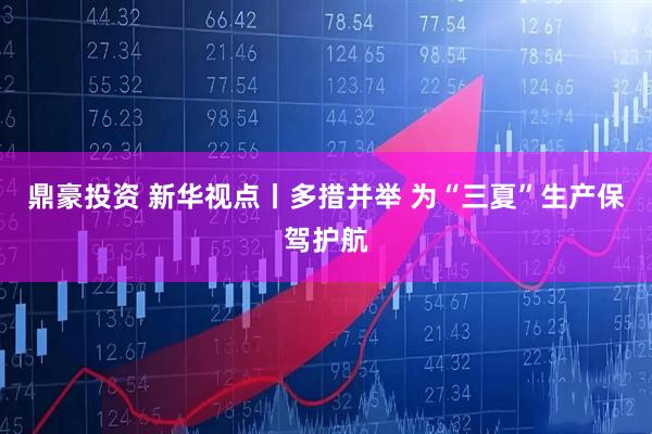 鼎豪投资 新华视点丨多措并举 为“三夏”生产保驾护航