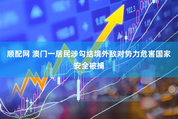 顺配网 澳门一居民涉勾结境外敌对势力危害国家安全被捕
