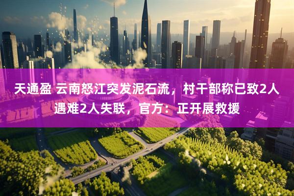 天通盈 云南怒江突发泥石流，村干部称已致2人遇难2人失联，官方：正开展救援