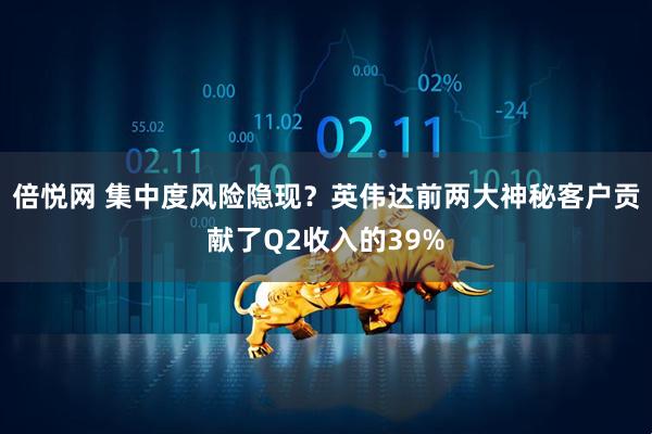 倍悦网 集中度风险隐现？英伟达前两大神秘客户贡献了Q2收入的39%