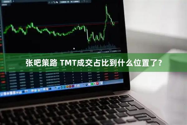 张吧策路 TMT成交占比到什么位置了？