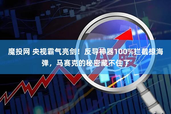 魔投网 央视霸气亮剑！反导神器100%拦截掠海弹，马赛克的秘密藏不住了
